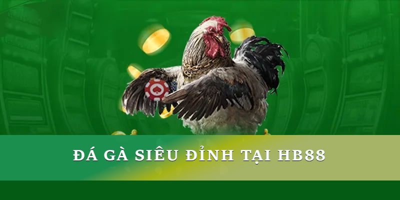 Giới thiệu Hb88 - Đá gà siêu đỉnh