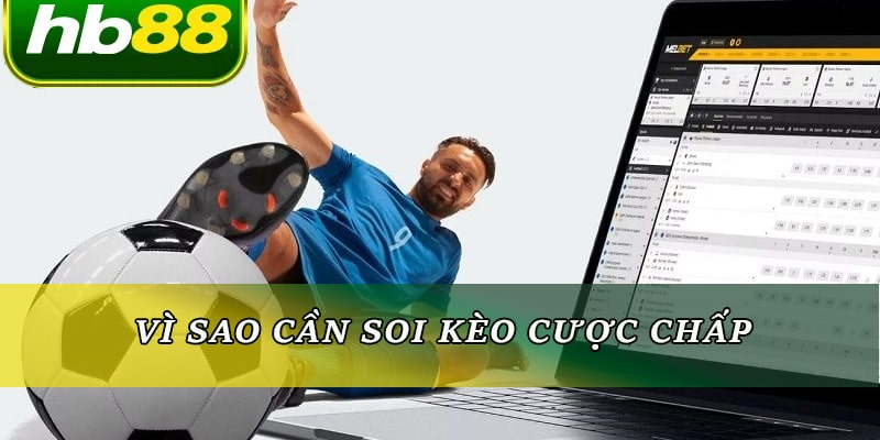 Vì sao cần soi kèo cược chấp